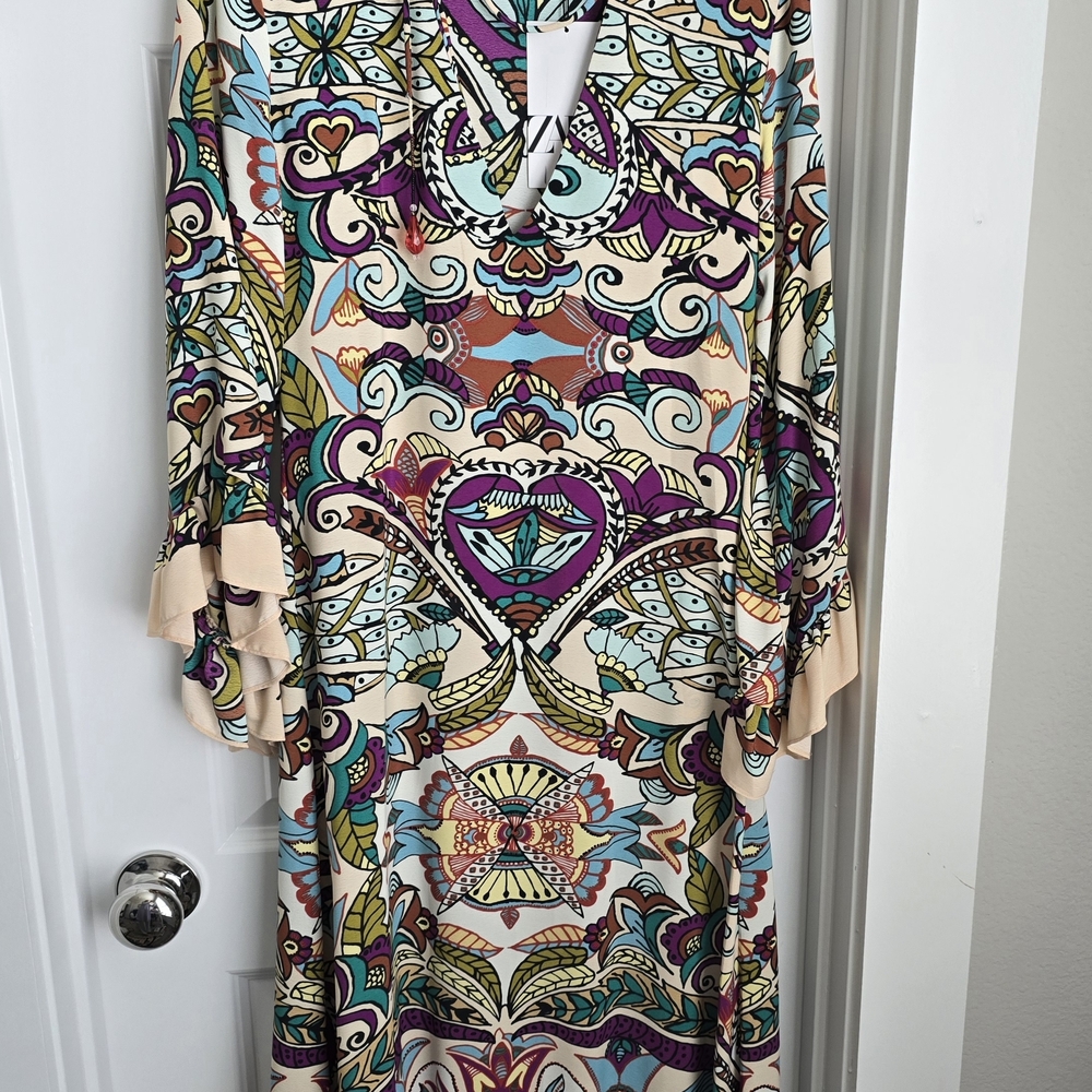 Zara Multicolor Printed Maxi Dress with Ruffled Sleeves